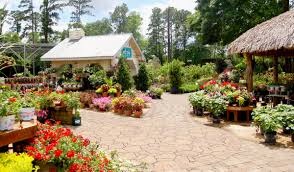 top 12 plant nurseries garden centers
