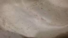 Does all flour have bugs?