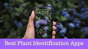 10 best plant identification apps