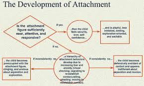 Atttachment Flow Chart Would Like To See Another One