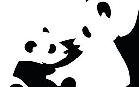 panda hd wallpaper