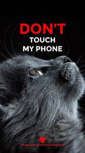 Don T Touch My Phone Cat Wallpapers
