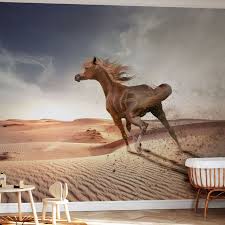Running Horse In The Desert