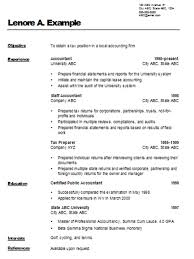 Professional resume template  Accounting Officer CV