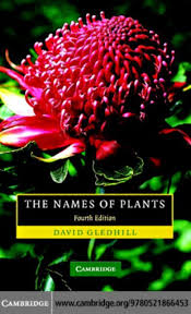 The Names Of Plants Pdf