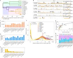 The Prevalence Evolution And Chromatin Signatures Of Plant