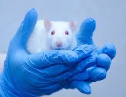 Brexit sinkar EMA:s arbete mot djurförsök - LäkemedelsVärlden