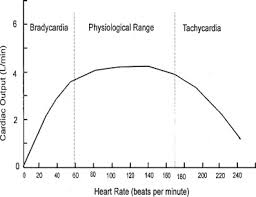 Heart Rate An Overview Sciencedirect Topics