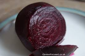 Independent Guide To Different Beetroot Varieties In The Uk