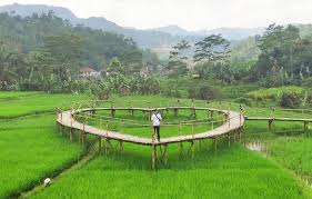 Pengunjung menikmati suasana di agro wisata kampung karet yang terletak di desa puntukrejo, ngargoyoso. Lokasi Harga Tiket Masuk Destinasi Geopark Pongkor Bogor