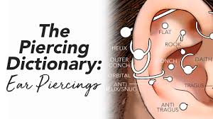 The practice, whose earliest association is to be found in india, has become popular through out the world, especially amongst the. The Piercing Dictionary Nose Piercings Bodycandy