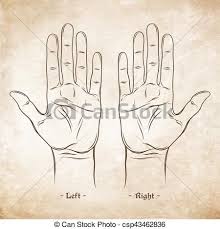 Palmistry Or Chiromancy Chart Blank Template Vector Illustration