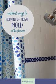 homemade mold prevention spray tips