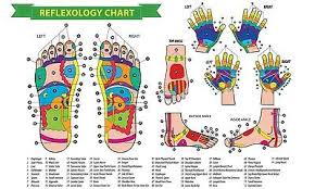 Learning Hand Reflexology Chart Information Wall Art Large