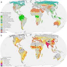 Global Areas Of Low Human Impact Low Impact Areas And