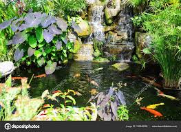 beautiful garden small waterfall fish