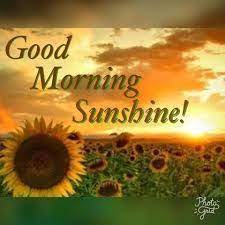 Funny good morning sunshine memes are very laughing images. Pin By Nancy Loubier On Good Morning Quotes Good Morning My Sunshine Good Morning Sunshine Good Morning Sunshine Quotes