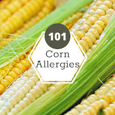 corn allergy living beyond allergies