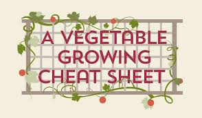 Collecting the goods is one of the most gratifying parts of vegetable. A Vegetable Growing Guide Infographic Cheat Sheet