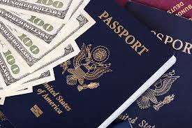 Travel Visa Pro gambar png