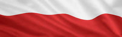 Flagi Polska, duże i małe rozmiary. Wszystko dla Kibica i Patriotyczne |  Wszystko dla Kibica