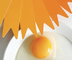 Egg Yolk Dsm Color Fans Solutions Products Dsm