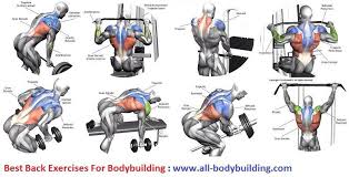 Back Exercises For Bodybuilding Bodybuildingnutrition