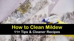 11 amazing ways to clean mildew