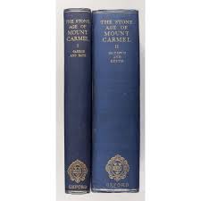 The Stone Age Of Mount Carmel Volume I