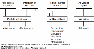 Oncologic Drugs Lange Smart Charts Pharmacology 2e