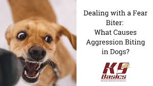 fear biter aggression biting in dogs