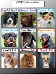 Which Doggo Are You Image Alignmentcharts Reddit