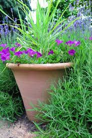 Low Maintenance Garden Pots