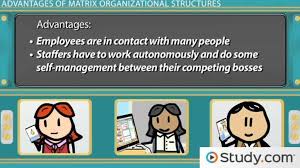 Matrix Organizational Structure Advantages Disadvantages Examples