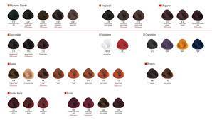 alfaparf evolution of the color³ hair