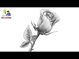 drawing rose flower step by step