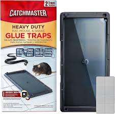 catchmaster heavy duty baited rat glue