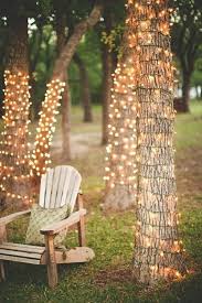 fairy lights around the garden trees