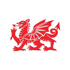 Welsh Dragon Vinyl Sticker | Etsy