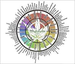 Terpenes Responsible For Marijuanas Smell And Much More