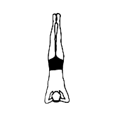 Yin yoga for your body. 12 Basic Asanas Sivananda London Classical Yoga