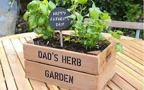 Gardening Gifts For Green Fingered Dads