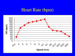 ppt heart rate bpm powerpoint