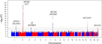 Genome Wide Association Study Of 1 5 Anhydroglucitol