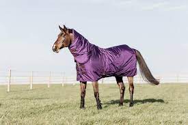 turnout rug all weather waterproof pro