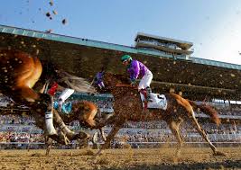 An Estimated Crowd Of 100 000 Attended Belmont Park On Saturday To Watch California Chrome Run For The Triple Crown Creditcredit Matt Slocum Associated Press