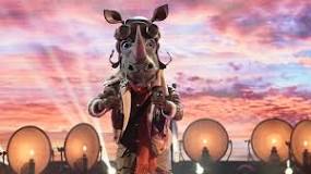 who-is-rhino-on-masked-singer