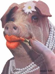 past meanderings lipstick on a pig