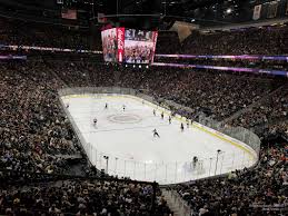 section 119 at t mobile arena