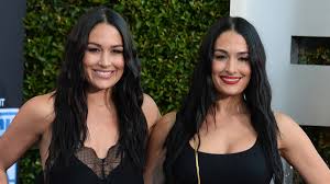 bella twins nikki and brie give birth